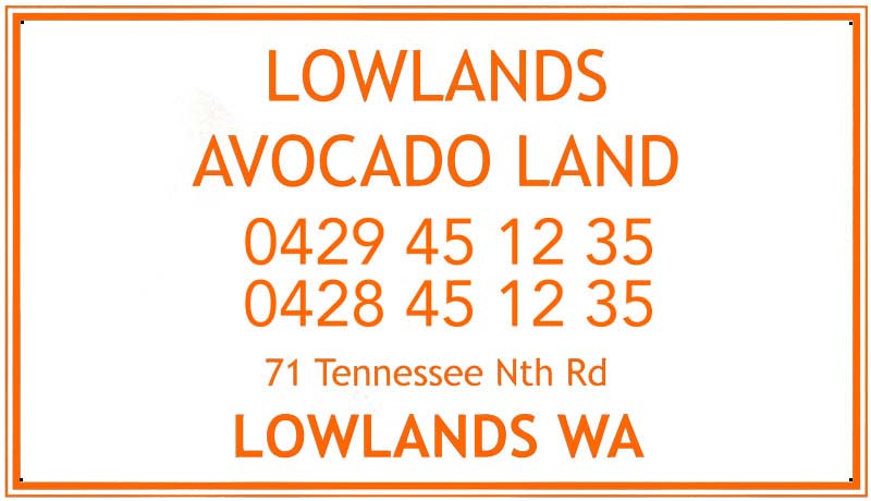 Lowlands Avocado Land
